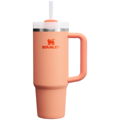 The Quencher H2.0 Flowstate™ Tumbler | 30 OZ - Stanley Create